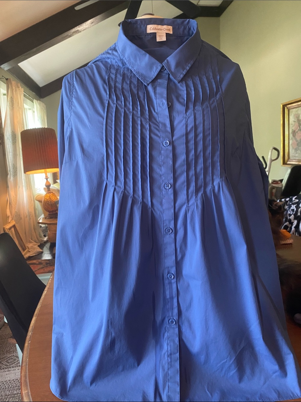 Coldwater Creek women’s button down lightweight blouse  Blue - Size XLP 851